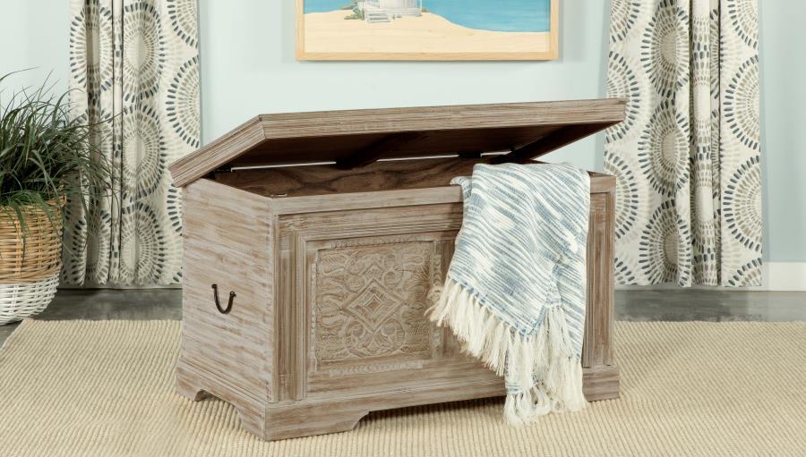 Nilay - Rectangular Storage Trunk - White Washed and Black
