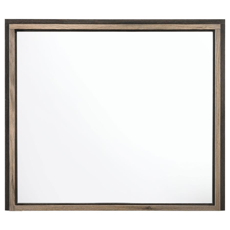 Baker - Rectangular Dresser Mirror - Brown and Light Taupe