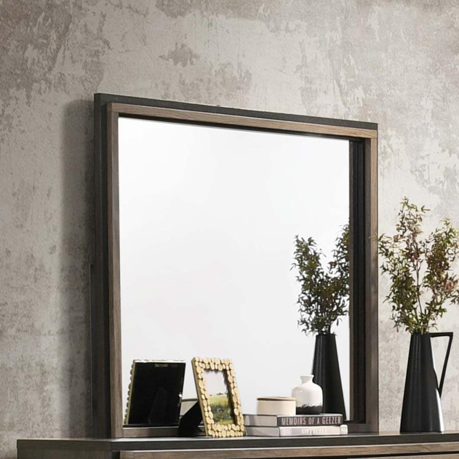 Baker - Rectangular Dresser Mirror - Brown and Light Taupe