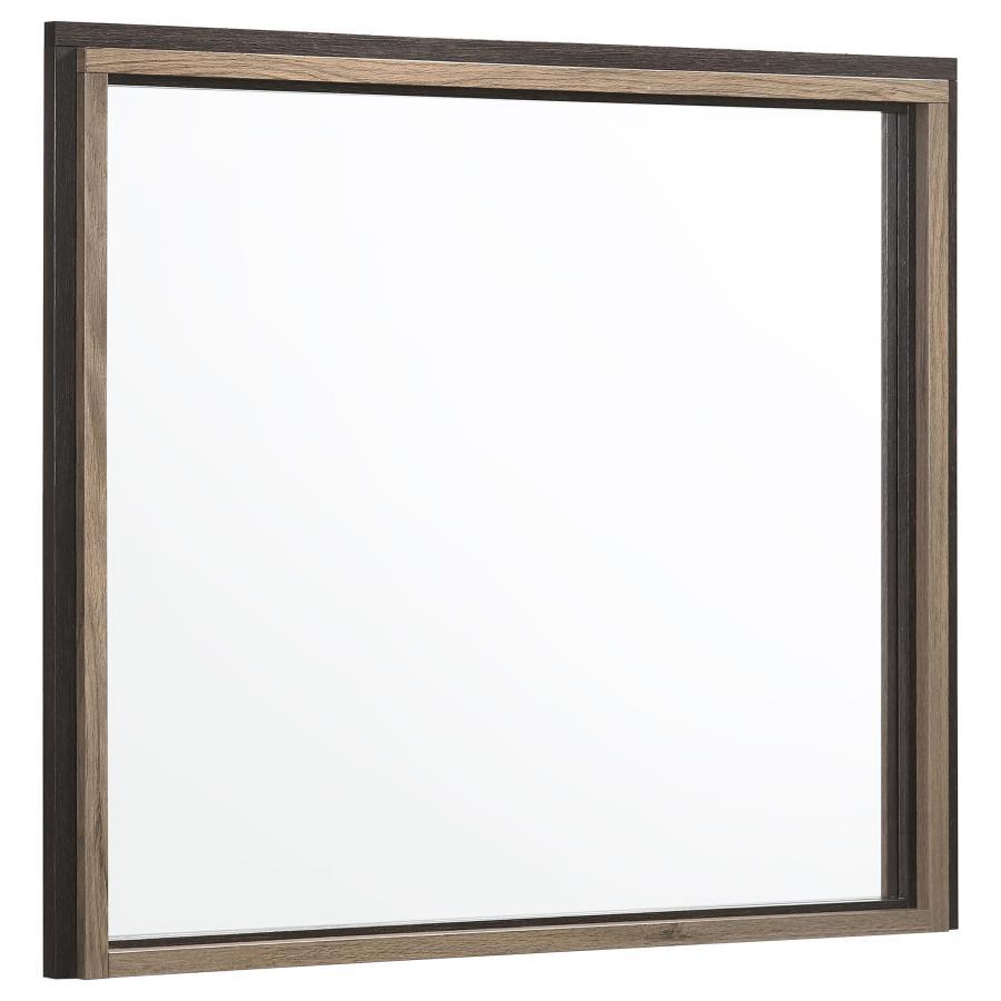 Baker - Rectangular Dresser Mirror - Brown and Light Taupe