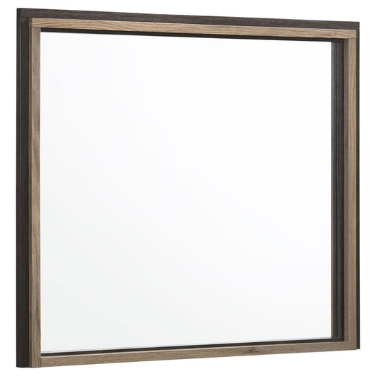 Baker - Rectangular Dresser Mirror - Brown and Light Taupe