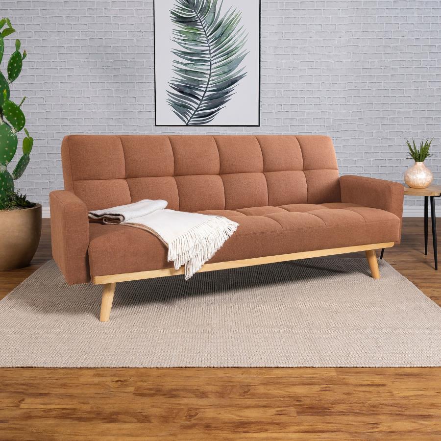 Coaster - Sofa Bed