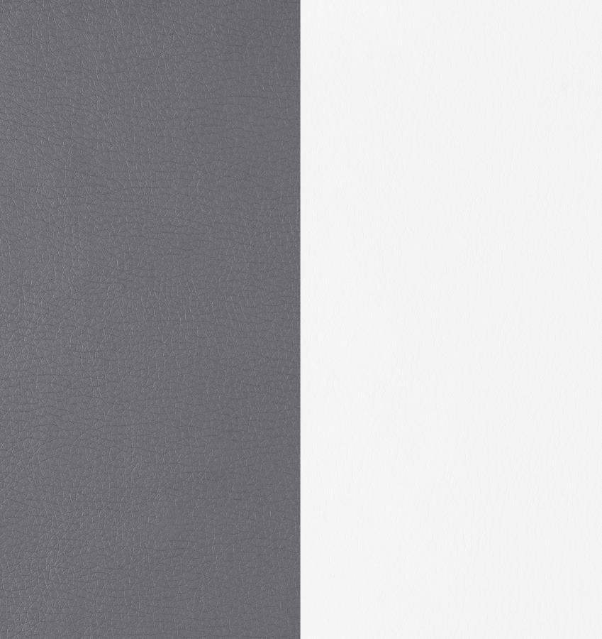 Brooklyn - Upholstered Side Chairs With S-Frame (Set of 4) - Grey and White